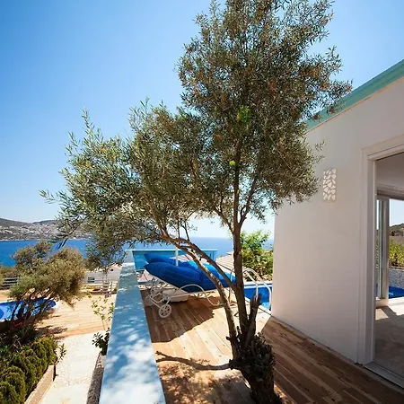 Ξενοδοχείο Asfiya Sea View Κας